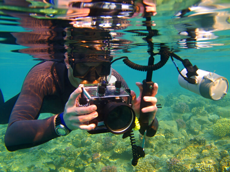 Capturing Conservation: How Photography Can Save Our Oceans