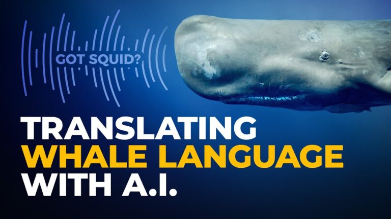 The Ocean’s Secret Linguists: Translating Whale Language