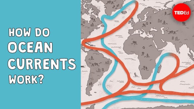 Ocean Glossary: Growing Your Vocabulary
