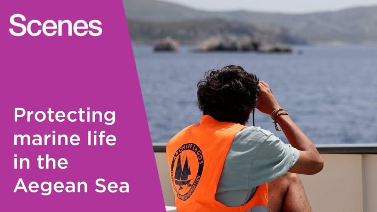 Riding the Waves of Opportunity: The Power of Seasonal Work for Ocean People